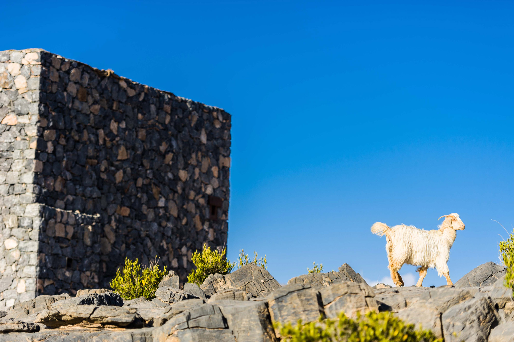 Alila Jabal Akhdar 04